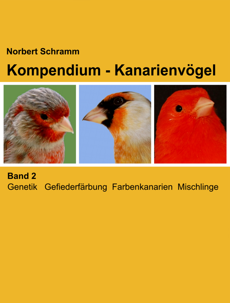 Kompendium Kanarien Band 2